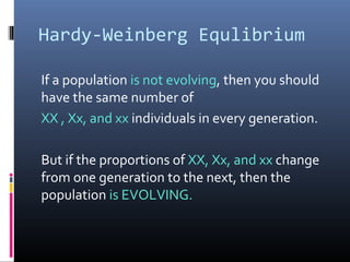 Hardy-Weinberg Equlibrium
If a population is not evolving, then you should
have the same number of
XX , Xx, and xx individuals in every generation.
But if the proportions of XX, Xx, and xx change
from one generation to the next, then the
population is EVOLVING.
 
