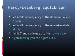 Hardy-Weinberg Equlibrium
 Let’s call the frequency of the dominant allele
(X)… p.
 Let’s call the frequency of the recessive allele
(x)… q.
 If only X and x alleles exist, then p + q = 1.0
 If you know q, you can figure out p.
 