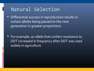 Natural Selection
 Differential success in reproduction results in
certain alleles being passed to the next
generation in greater proportions
 For example, an allele that confers resistance to
DDT increased in frequency after DDT was used
widely in agriculture
© 2011 Pearson Education, Inc.
 