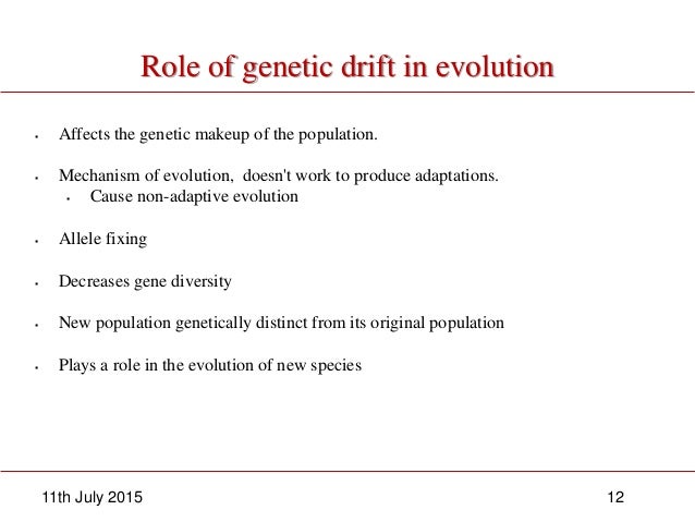 Genetic Drift Natural Disaster Genetic Drift Natural Disaster