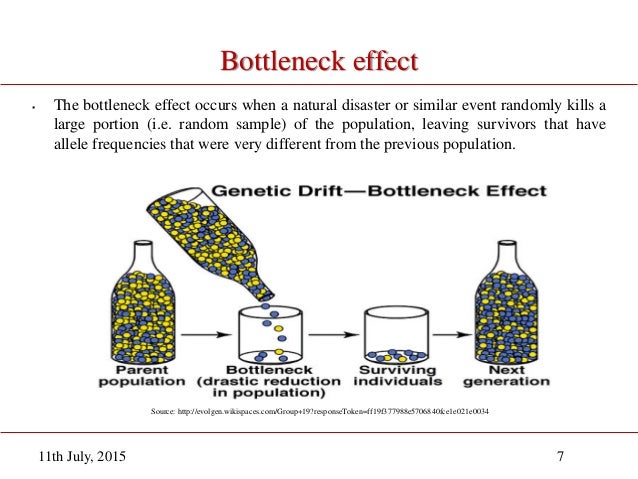 Download Diagram Of Genetic Drift Html Full Version Hd