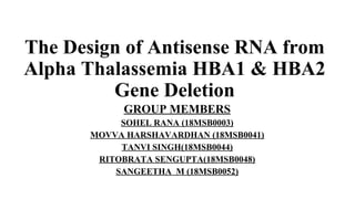 The Design of Antisense RNA from
Alpha Thalassemia HBA1 & HBA2
Gene Deletion
GROUP MEMBERS
SOHEL RANA (18MSB0003)
MOVVA HARSHAVARDHAN (18MSB0041)
TANVI SINGH(18MSB0044)
RITOBRATA SENGUPTA(18MSB0048)
SANGEETHA M (18MSB0052)
 