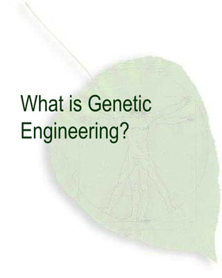 What is Genetic Engineering? 