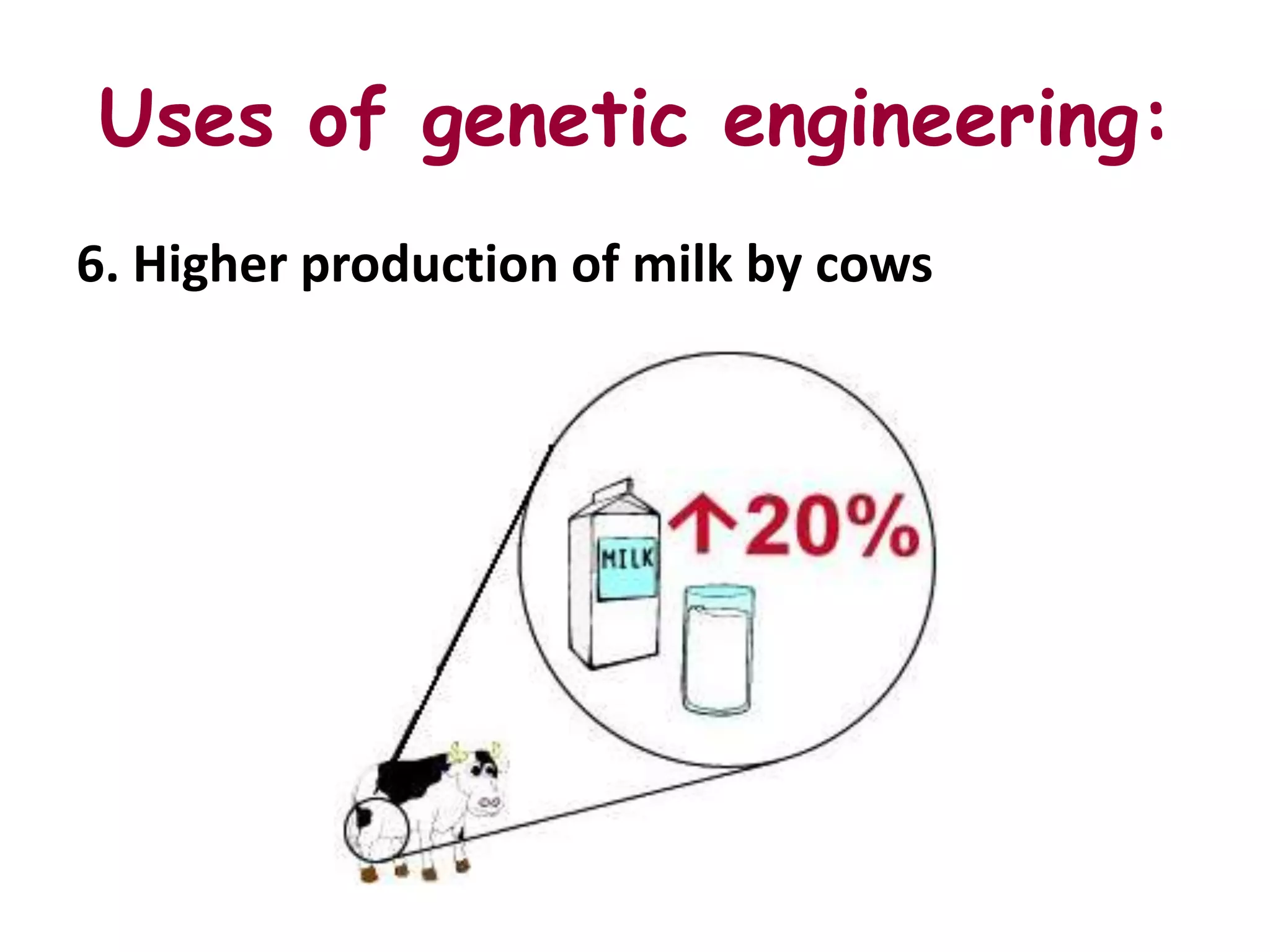 Uses of genetic engineering:
6. Higher production of milk by cows
 