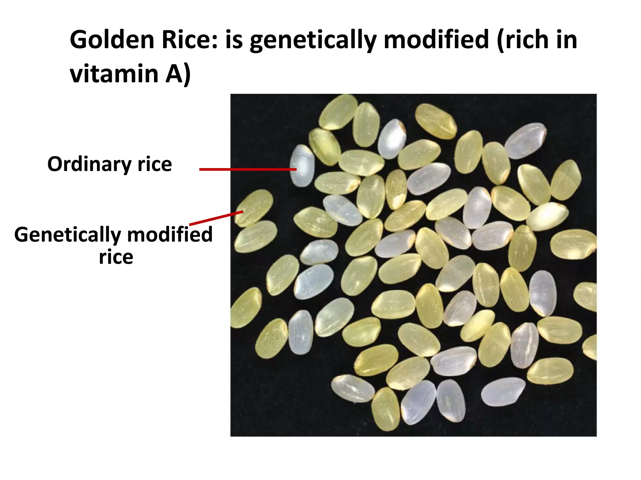 Golden Rice: is genetically modified (rich in
     vitamin A)


   Ordinary rice


Genetically modified
        rice
 
