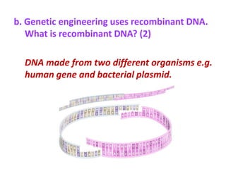 b. Genetic engineering uses recombinant DNA.
   What is recombinant DNA? (2)

  DNA made from two different organisms e.g.
  human gene and bacterial plasmid.
 