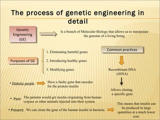The process of genetic engineering in
                 detail
     Genetic
      Genetic                       Is a branch of Molecular Biology that allows us to manipulate
   Engineering
    Engineering                                     the genome of a living being.
       (GE)
        (GE)

                                                                     Common practices
                                                                      Common practices
                          1. Eliminating harmful genes

 Purposes of GE
  Purposes of GE          2. Introducing healthy genes

                          3. Modifying genes                         Recombinant DNA
                                                                         (rDNA)

• Diabetic people          Have a faulty gene that encodes
                           for the protein insulin
                                                                      Allows cloning
                                                                      a specific gene
 • Past: The patients would get insulin originating from human
          corpses or other animals injected into their system
                                                                           This means that insulin can
                                                                              be produced in large
• Present: We can clone the gene of the human insulin in bacteria.
                                                                           quantities at a much lower
                                                                                      cost.
 