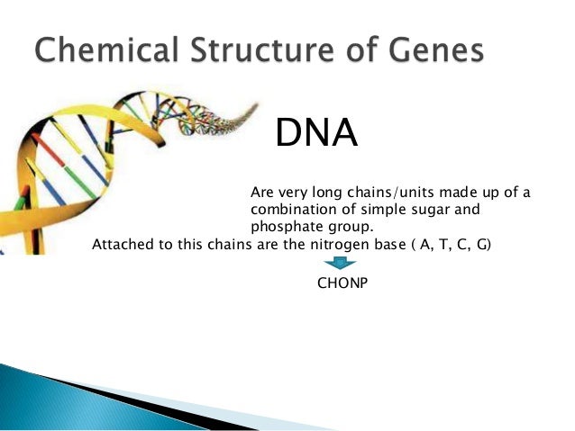 essay titles for genetic engineering Your job is to choose one of these genetic engineering topics that you would like to score for reflective essay title: genetic engineering project author. essay titles for genetic engineering Your job is to choose one of these genetic engineering topics that you would like to score for reflective essay title: genetic engineering project author.