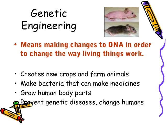 Genetic engineering pros essay