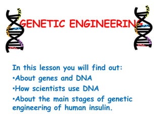 GENETIC ENGINEERING

In this lesson you will find out:
•About genes and DNA
•How scientists use DNA
•About the main stages of genetic
engineering of human insulin.

 