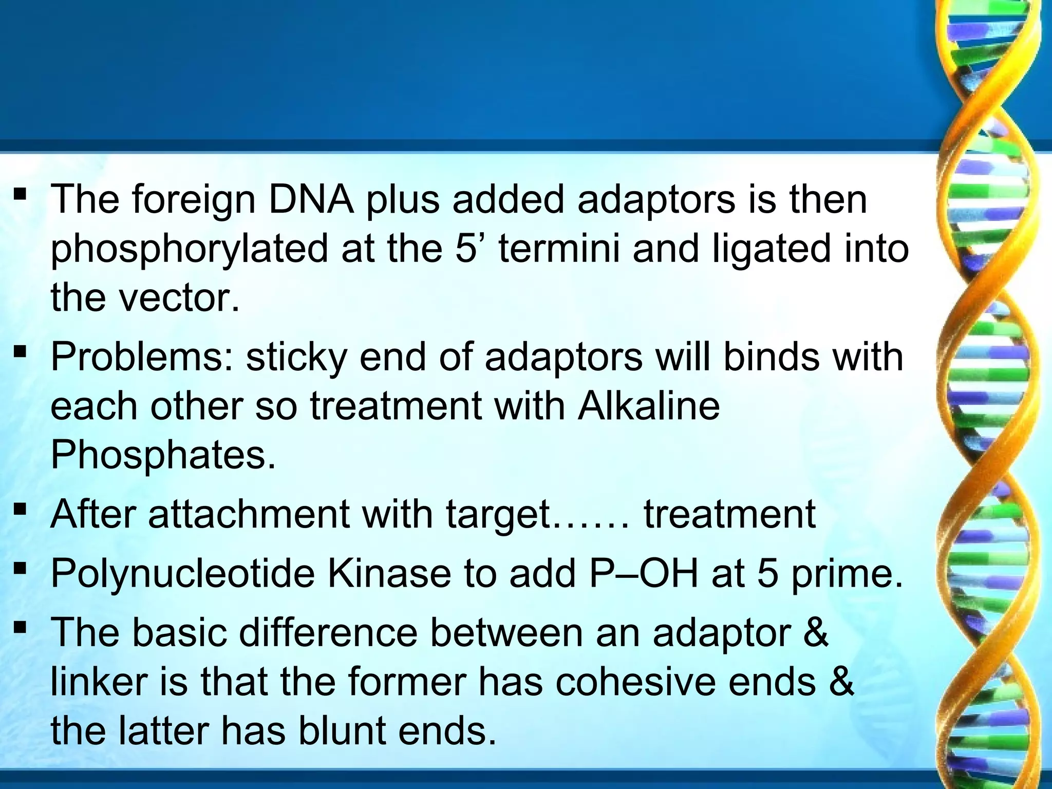  The foreign DNA plus added adaptors is then
phosphorylated at the 5’ termini and ligated into
the vector.
 Problems: sticky end of adaptors will binds with
each other so treatment with Alkaline
Phosphates.
 After attachment with target…… treatment
 Polynucleotide Kinase to add P–OH at 5 prime.
 The basic difference between an adaptor &
linker is that the former has cohesive ends &
the latter has blunt ends.

 