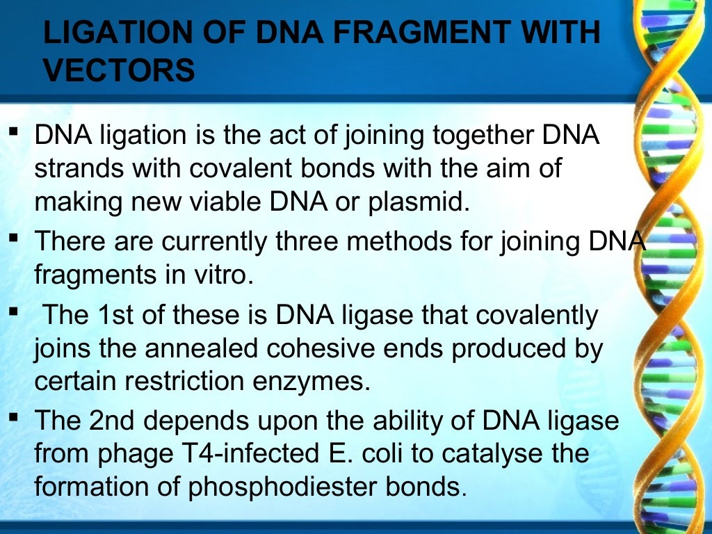 LIGATION OF DNA