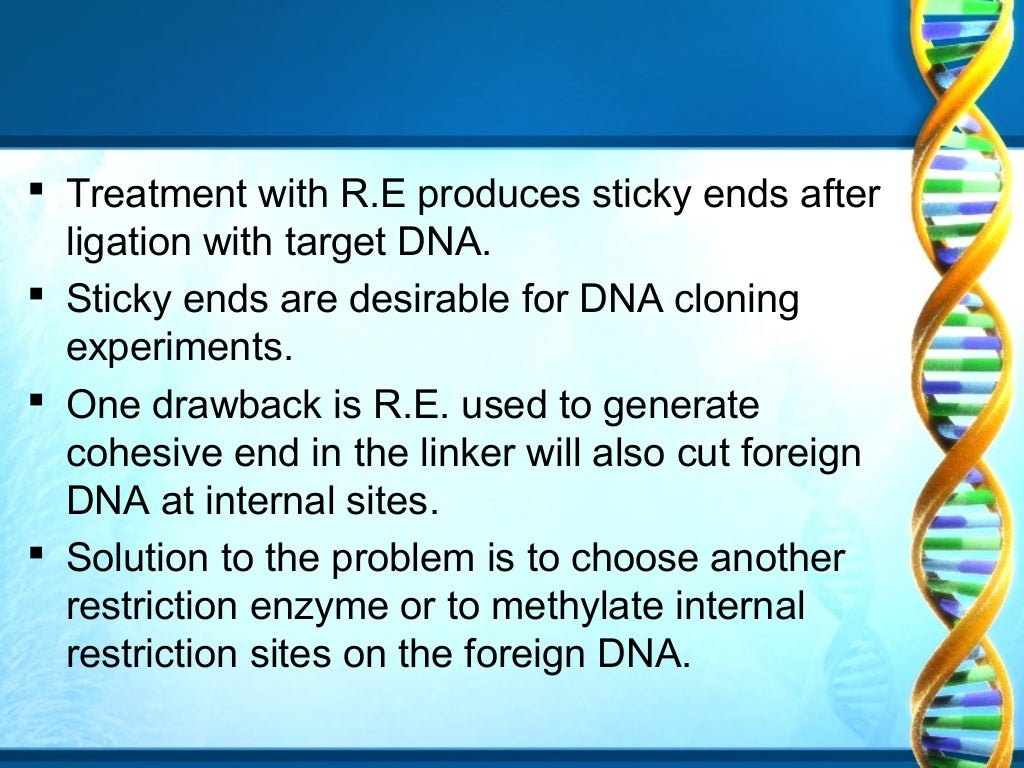 LIGATION OF DNA