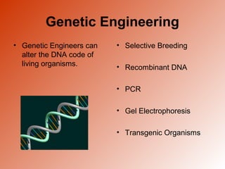 Genetic Engineering 
• Genetic Engineers can 
alter the DNA code of 
living organisms. 
• Selective Breeding 
• Recombinant DNA 
• PCR 
• Gel Electrophoresis 
• Transgenic Organisms 
 
