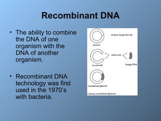 Recombinant DNA 
• The ability to combine 
the DNA of one 
organism with the 
DNA of another 
organism. 
• Recombinant DNA...