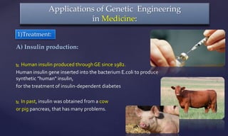 A) Insulin production:
 Human insulin produced through GE since 1982.
Human insulin gene inserted into the bacterium E.coli to produce
synthetic "human" insulin,
for the treatment of insulin-dependent diabetes
 In past, insulin was obtained from a cow
or pig pancreas, that has many problems.
Applications of Genetic Engineering
in Medicine:
1)Treatment:
 