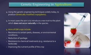  Using the genetic engineering techniques widely today, to
produce Genetically modified crops(plants).
 In most cases the aim is to introduce a new trait to the plant
which does not occur naturally in the species.
 Aims of GM crops include:
 Resistance to certain pests, diseases, or environmental
conditions.
 Reduction of spoilage.
 Resistance to chemical treatments (e.g. resistance to a
herbicide)
 Improving the nutrient profile of the crop
Genetic Engineering in Agriculture:
 