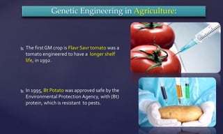  The first GM crop is Flavr Savr tomato was a
tomato engineered to have a longer shelf
life, in 1992.
 In 1995, Bt Potato was approved safe by the
Environmental Protection Agency, with (Bt)
protein, which is resistant to pests.
Genetic Engineering in Agriculture:
 