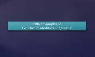 Other examples of
Genetically Modified Organisms:
 