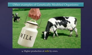  Higher production of milk by cows.
Other examples of Genetically Modified Organisms:
 