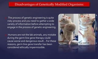  The process of genetic engineering is quite
risky process and you need to gather a wide
variety of information before attempting to
engage in the process of genetic engineering.
 Humans are not the lab animals, any mistake
during the germ line gene therapy could
cause worse and dangerous result .. For these
reasons, germ line gene transfer has been
considered ethically impermissible.
Disadvantages of Genetically Modified Organisms:
 