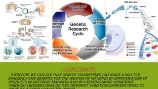 .CONCLUSION:-
. THEREFORE WE CAN SAY THAT GENETIC ENGINEERING HAS MADE A WAY FAR
EFFICIENCY AND BENEFITS FOR THE WELFARE OF MANKIND BY IMPROVISATION OF
PRODUCTS IN DIFFERENT MANNERS AND BY CREATING MORE VARIATIONS
THROUGH CROSSING OVER OF TWO DIFFERENT VARIATION CARRYING GENES TO
 
