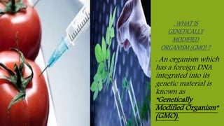 . An organism which
has a foreign DNA
integrated into its
genetic material is
known as
“Genetically
Modified Organism”
(GMO).
. WHAT IS
GENETICALLY
MODIFIED
ORGANISM (GMO) ?
 