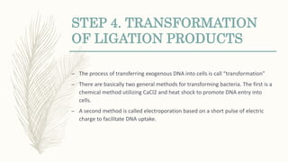 STEP 4. TRANSFORMATION
OF LIGATION PRODUCTS
– The process of transferring exogenous DNA into cells is call “transformation”
– There are basically two general methods for transforming bacteria. The first is a
chemical method utilizing CaCl2 and heat shock to promote DNA entry into
cells.
– A second method is called electroporation based on a short pulse of electric
charge to facilitate DNA uptake.
 