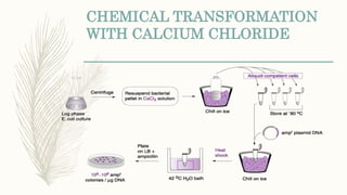 CHEMICAL TRANSFORMATION
WITH CALCIUM CHLORIDE
 