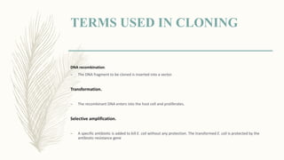 TERMS USED IN CLONING
DNA recombination.
– The DNA fragment to be cloned is inserted into a vector.
Transformation.
– The recombinant DNA enters into the host cell and proliferates.
Selective amplification.
– A specific antibiotic is added to kill E. coli without any protection. The transformed E. coli is protected by the
antibiotic-resistance gene
 