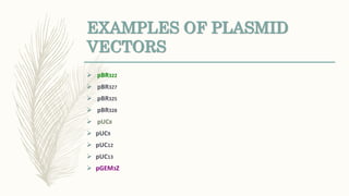 EXAMPLES OF PLASMID
VECTORS
 pBR322
 pBR327
 pBR325
 pBR328
 pUC8
 pUC9
 pUC12
 pUC13
 pGEM3Z
 