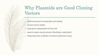 Why Plasmids are Good Cloning
Vectors
– small size (easy to manipulate and isolate)
– circular (more stable)
– replication independent of host cell
– several copies may be present (facilitates replication)
– frequently have antibiotic resistance (detection easy)
 