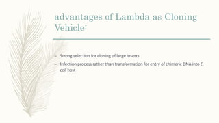 advantages of Lambda as Cloning
Vehicle:
– Strong selection for cloning of large inserts
– Infection process rather than transformation for entry of chimeric DNA into E.
coli host
 