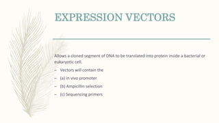 EXPRESSION VECTORS
Allows a cloned segment of DNA to be translated into protein inside a bacterial or
eukaryotic cell.
– Vectors will contain the
– (a) in vivo promoter
– (b) Ampicillin selection
– (c) Sequencing primers
 