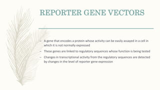 REPORTER GENE VECTORS
– A gene that encodes a protein whose activity can be easily assayed in a cell in
which it is not normally expressed
– These genes are linked to regulatory sequences whose function is being tested
– Changes in transcriptional activity from the regulatory sequences are detected
by changes in the level of reporter gene expression
 