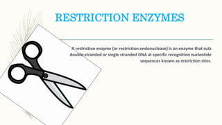 RESTRICTION ENZYMES
A restriction enzyme (or restriction endonuclease) is an enzyme that cuts
double-stranded or single stranded DNA at specific recognition nucleotide
sequences known as restriction sites.
 