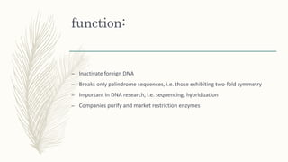 function:
– Inactivate foreign DNA
– Breaks only palindrome sequences, i.e. those exhibiting two-fold symmetry
– Important in DNA research, i.e. sequencing, hybridization
– Companies purify and market restriction enzymes
 