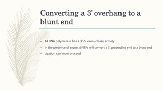 Converting a 3’ overhang to a
blunt end
– T4 DNA polymerase has a 3’-5’ exonuclease activity
– In the presence of excess dNTPs will convert a 3’ protruding end to a blunt end
– Ligation can know proceed
 