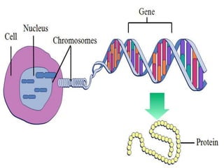 Genetic engineering | PPTX