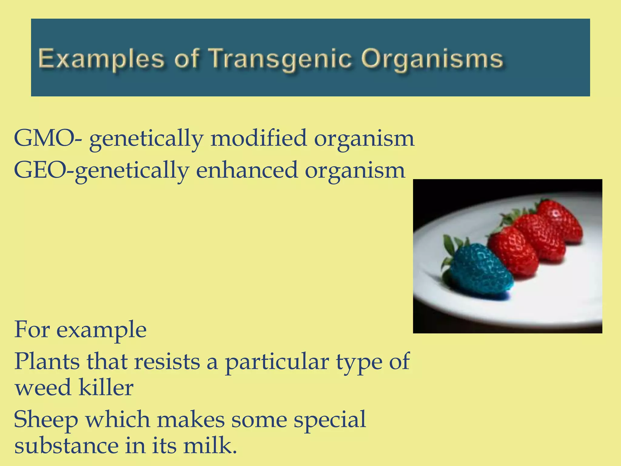 GMO- genetically modified organism
GEO-genetically enhanced organism
For example
Plants that resists a particular type of
weed killer
Sheep which makes some special
substance in its milk.
 