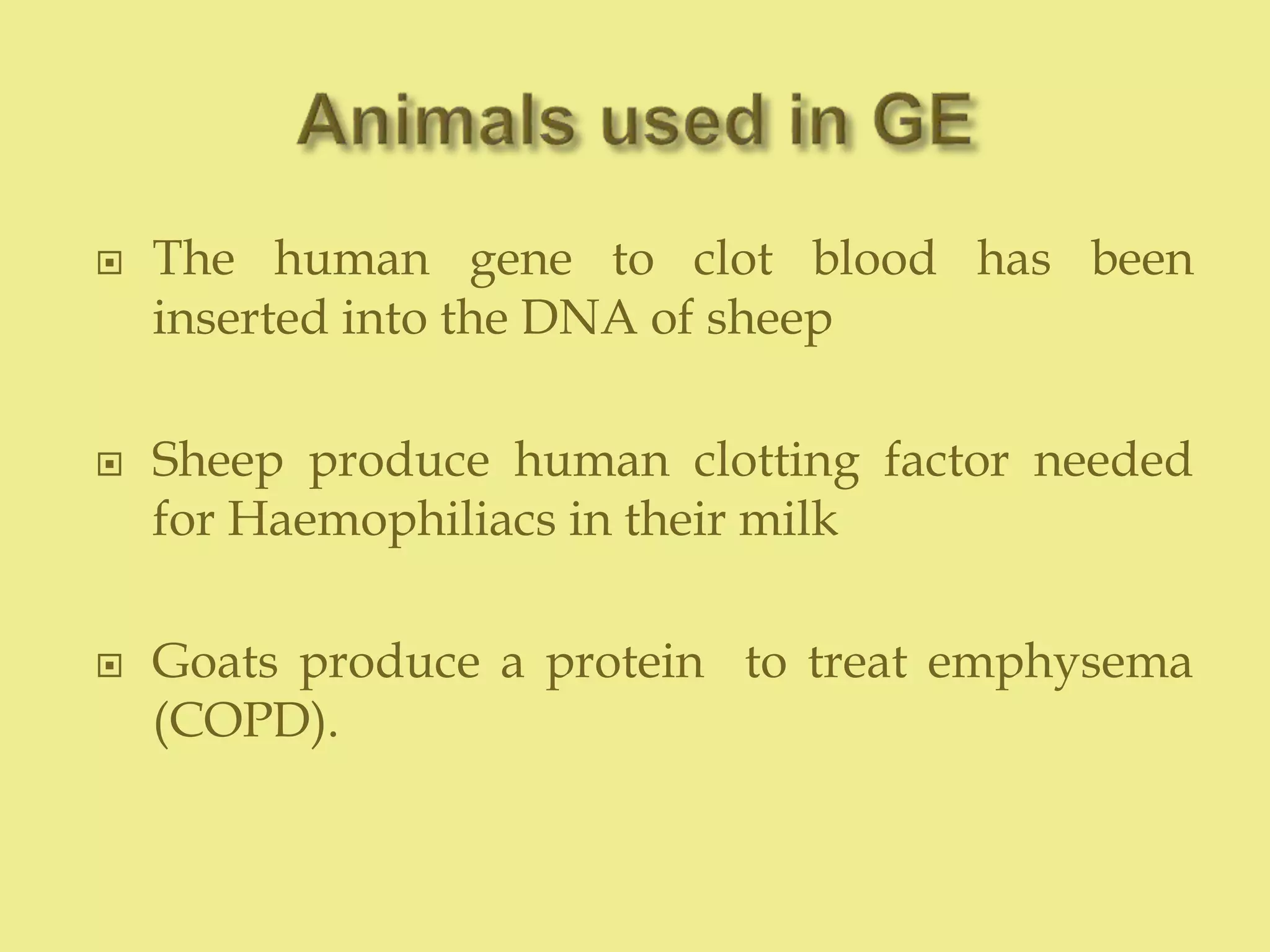  The human gene to clot blood has been
inserted into the DNA of sheep
 Sheep produce human clotting factor needed
for Haemophiliacs in their milk
 Goats produce a protein to treat emphysema
(COPD).
 