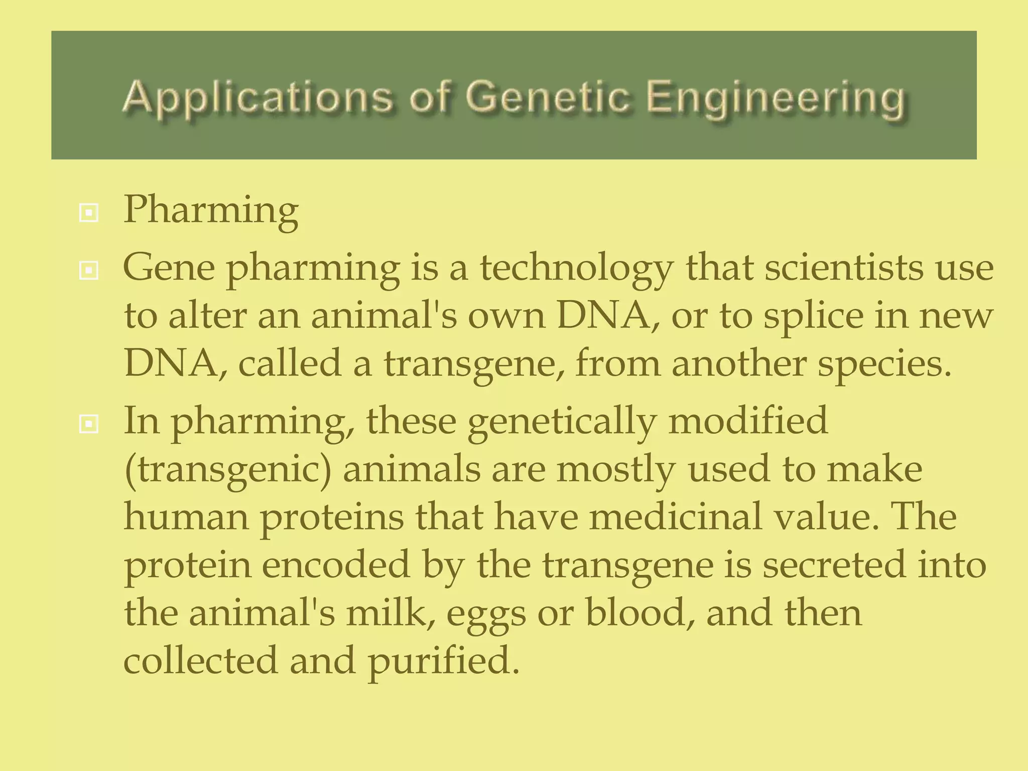  Pharming
 Gene pharming is a technology that scientists use
to alter an animal's own DNA, or to splice in new
DNA, called a transgene, from another species.
 In pharming, these genetically modified
(transgenic) animals are mostly used to make
human proteins that have medicinal value. The
protein encoded by the transgene is secreted into
the animal's milk, eggs or blood, and then
collected and purified.
 