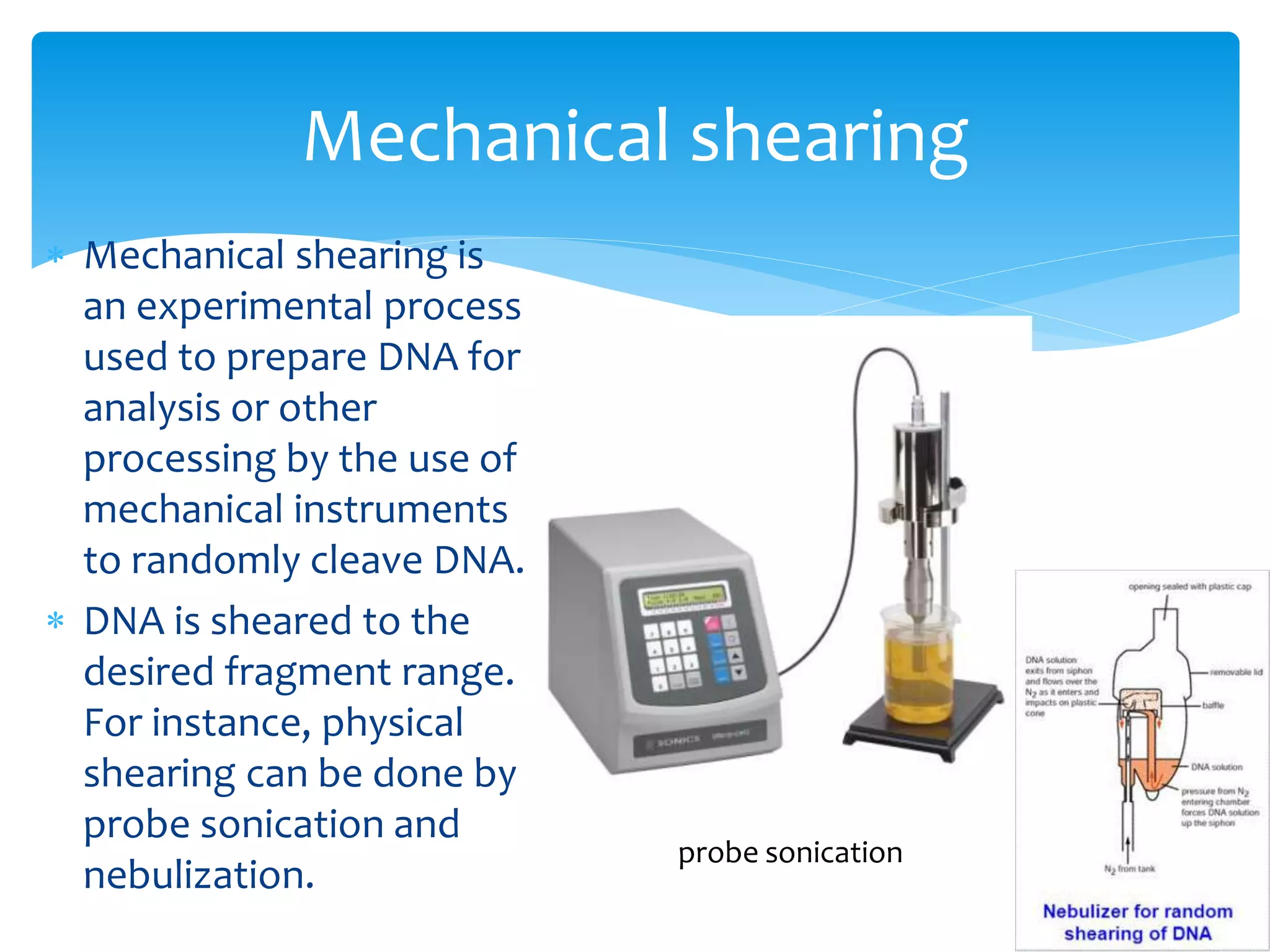  Mechanical shearing is
an experimental process
used to prepare DNA for
analysis or other
processing by the use of
mechanical instruments
to randomly cleave DNA.
 DNA is sheared to the
desired fragment range.
For instance, physical
shearing can be done by
probe sonication and
nebulization.
Mechanical shearing
probe sonication
 