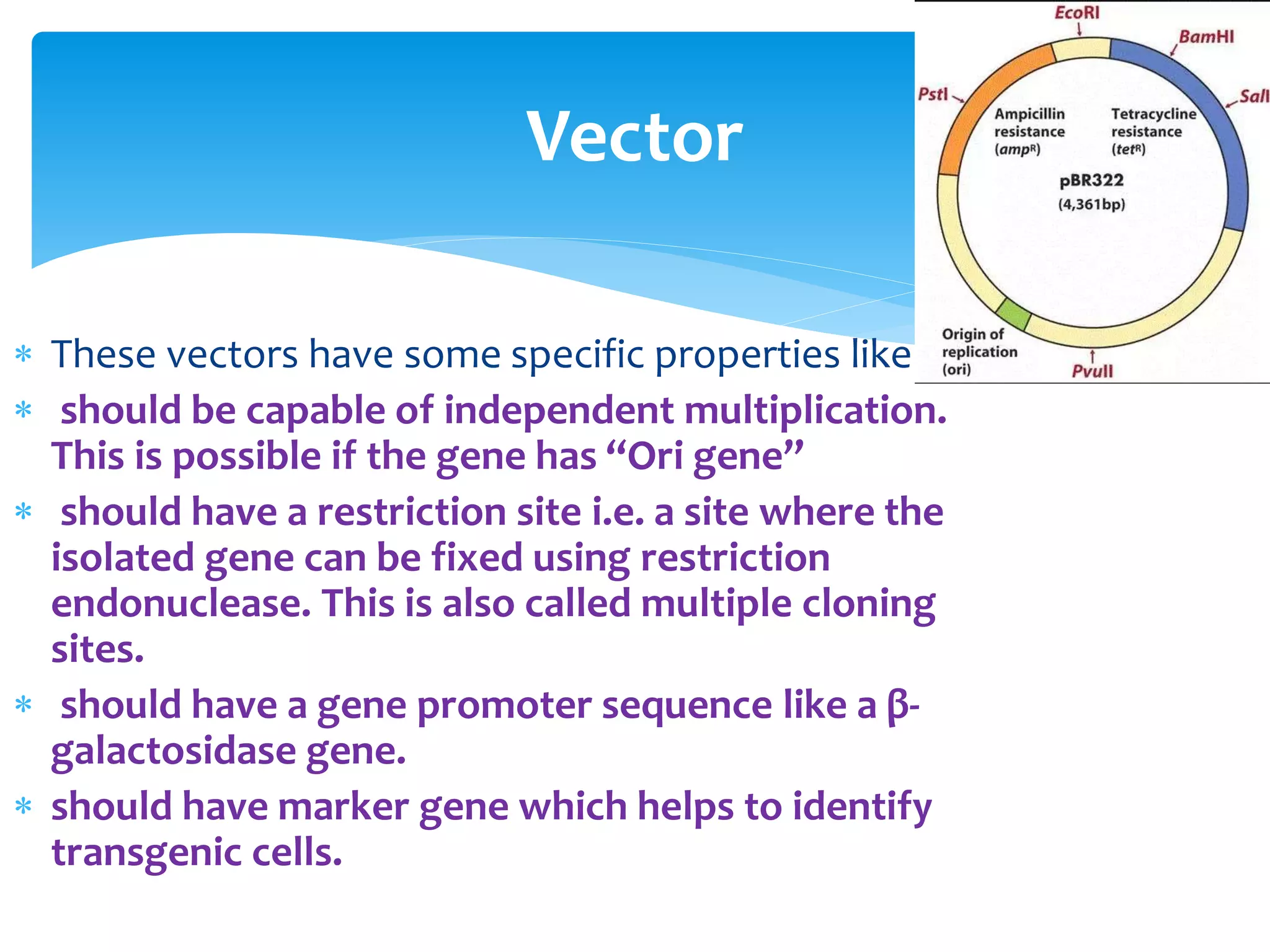  These vectors have some specific properties like
 should be capable of independent multiplication.
This is possible if the gene has “Ori gene”
 should have a restriction site i.e. a site where the
isolated gene can be fixed using restriction
endonuclease. This is also called multiple cloning
sites.
 should have a gene promoter sequence like a β-
galactosidase gene.
 should have marker gene which helps to identify
transgenic cells.
Vector
 