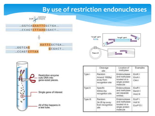 Genetic engineering | PDF