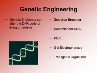 Genetic Engineering
• Genetic Engineers can
alter the DNA code of
living organisms.
• Selective Breeding
• Recombinant DNA
• PCR
• Gel Electrophoresis
• Transgenic Organisms
 