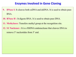 9. DNase I: It cleaves both ssDNA and dsDNA. It is used to obtain pure
RNA.
10. RNase H : It digests RNA. It is used to obtain pure DNA.
11. Methylases: Transfers methyl group at the recognition site.
12. S1 Nucleases : It is a SSDNA endonuclease that cleaves DNA to
remove 5’ nucleotides from 5’ end.
Enzymes Involved in Gene Cloning
 