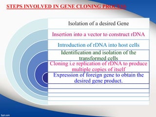 STEPS INVOLVED IN GENE CLONING PROCESS
Isolation of a desired Gene
Insertion into a vector to construct rDNA
Introduction of rDNA into host cells
Identification and isolation of the
transformed cells
Cloning i.e replication of rDNA to produce
multiple copies of itself
Expression of foreign gene to obtain the
desired gene product.
 