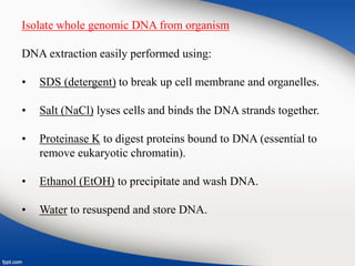 Isolate whole genomic DNA from organism
DNA extraction easily performed using:
• SDS (detergent) to break up cell membrane and organelles.
• Salt (NaCl) lyses cells and binds the DNA strands together.
• Proteinase K to digest proteins bound to DNA (essential to
remove eukaryotic chromatin).
• Ethanol (EtOH) to precipitate and wash DNA.
• Water to resuspend and store DNA.
 