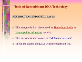 RESTRICTION ENDONUCLEASES
o This enzyme is first discovered by Hamellton Smith in
Haemophilus influenzae bacteria.
o This enzyme is also known as ‘ Molecular scissors’.
o These are used to cut DNA within recognition site.
Tools of Recombinant DNA Technology
 